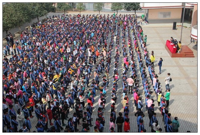 朝阳国际小学生交通安全知识讲座活动总结_德